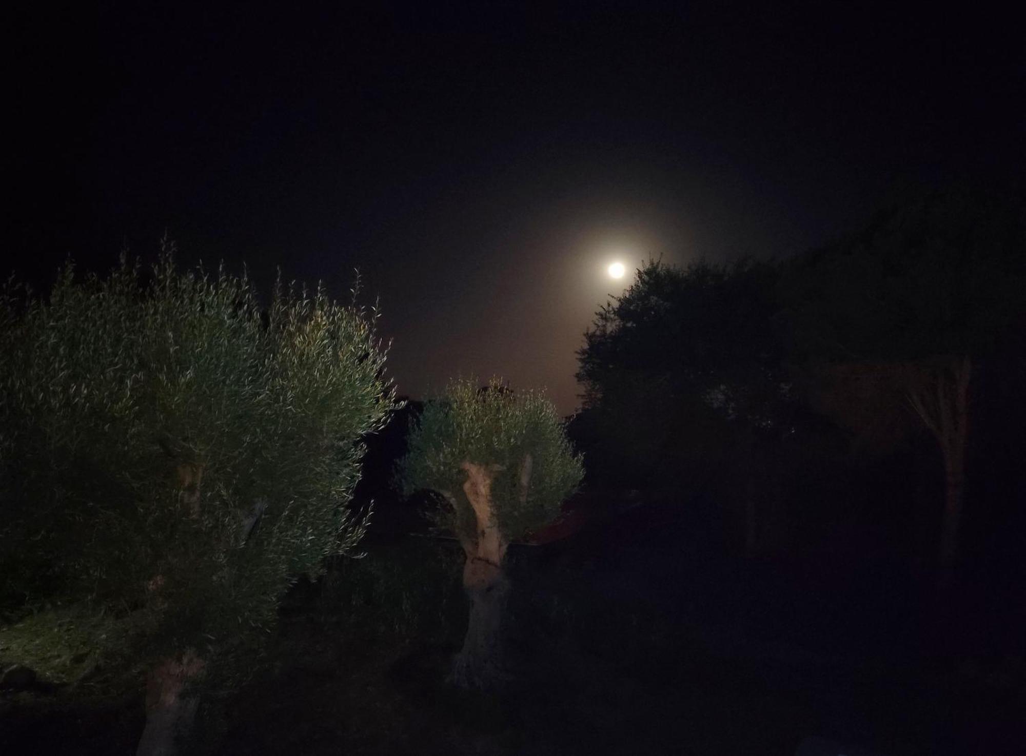 Villa Orizzonte Sullo Jonio Авола Экстерьер фото