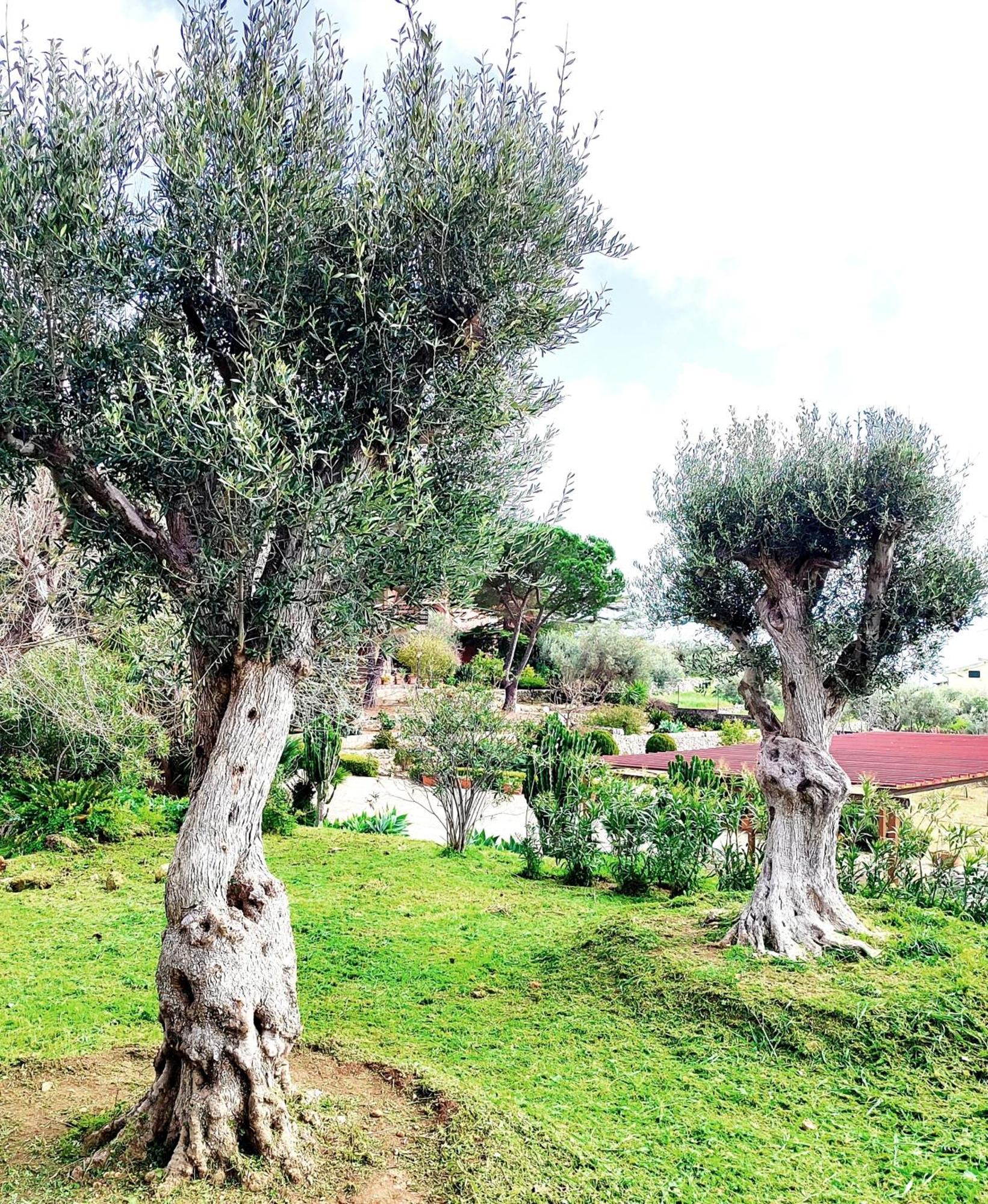 Villa Orizzonte Sullo Jonio Авола Экстерьер фото